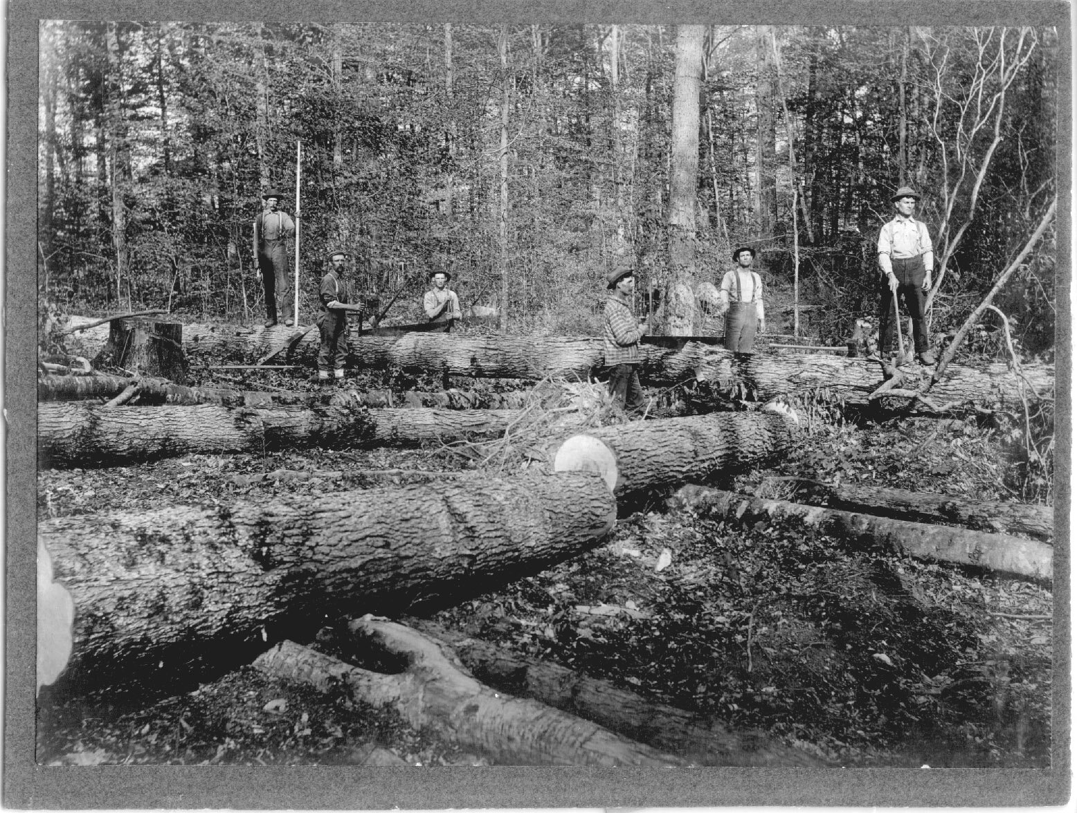 lumbermen.jpg