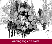 Loading Logs