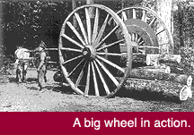 Big Wheel in Action